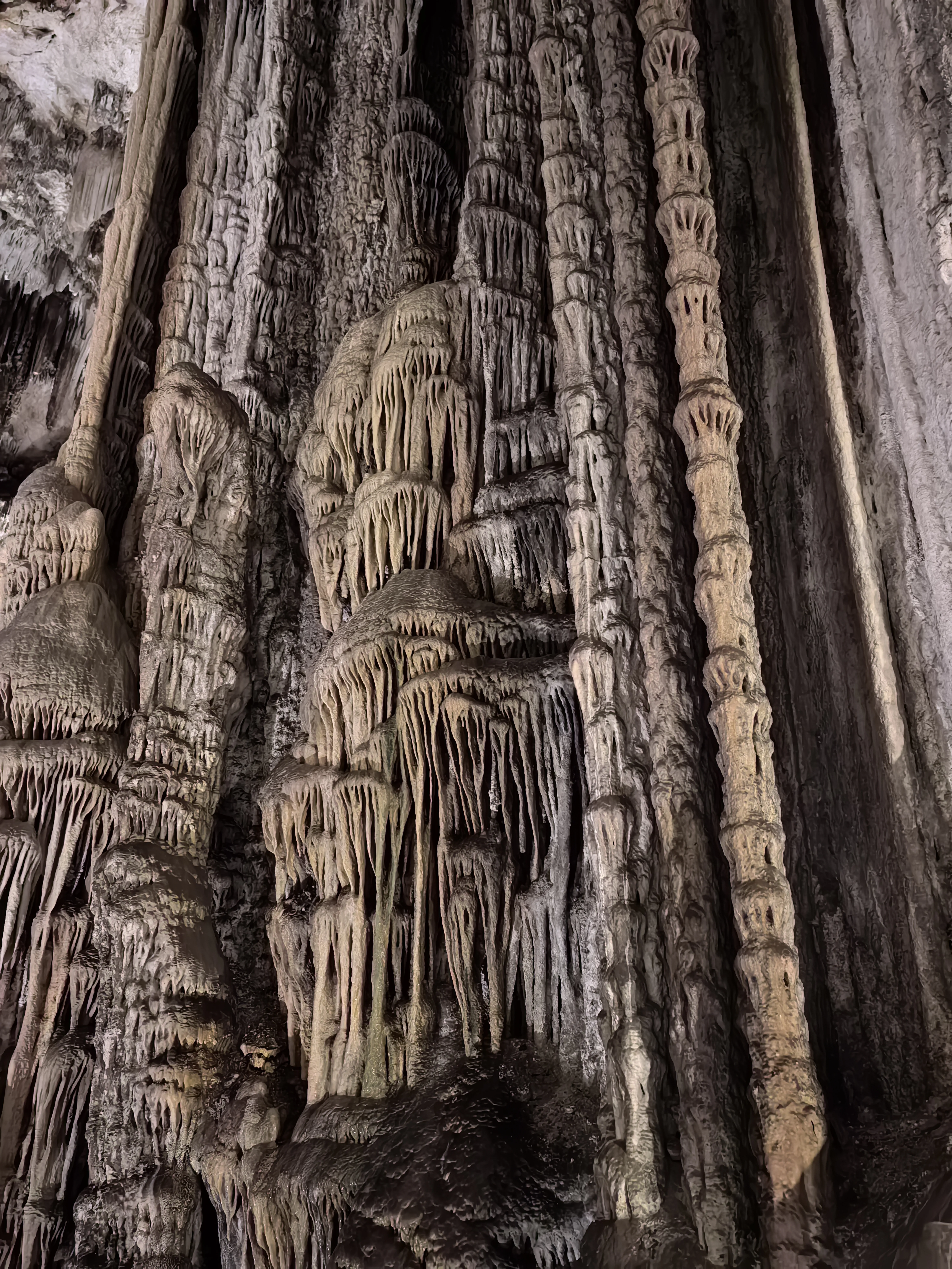 HUAWEI Pura 70 Ultra - System Aparatów - IMG_20251122_150921.webp